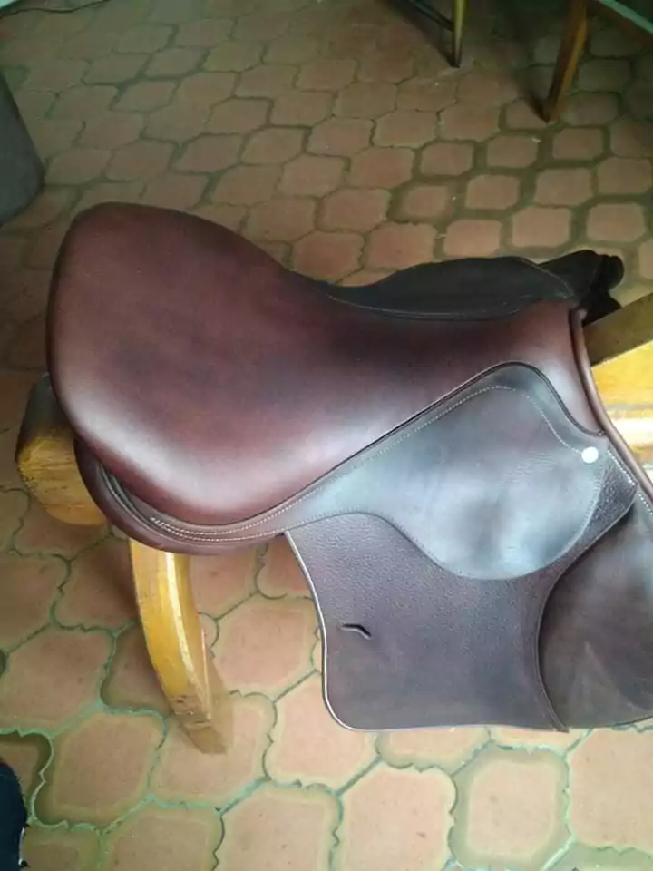 Reparation-equitation (1)